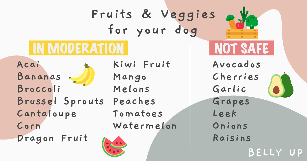 Dogs and fruits and vegetables cheap bad for dogs